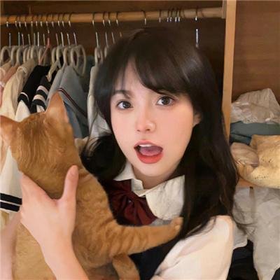 教宗的承继