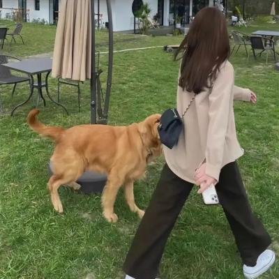 伊萨卡的电报